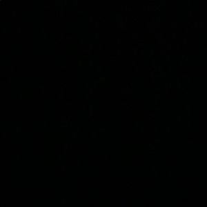 Meet your Posher, Peter